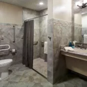 Rehab bathroom